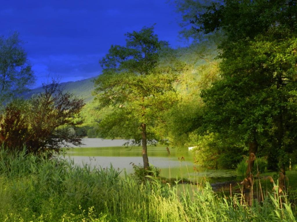 Gite Les Platanes Sainte-Helene-du-Lac Dış mekan fotoğraf